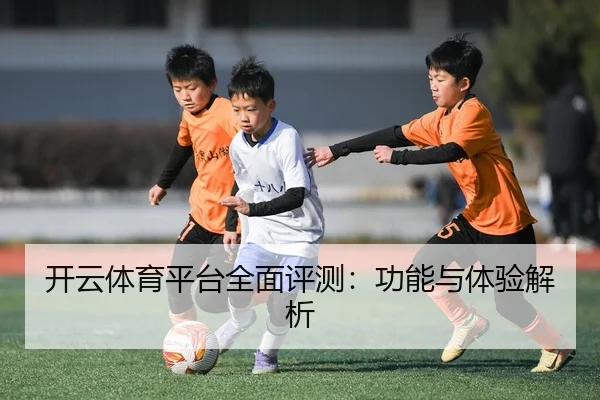 开云体育平台全面评测：功能与体验解析