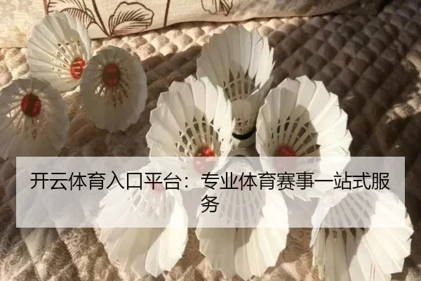开云体育入口平台：专业体育赛事一站式服务